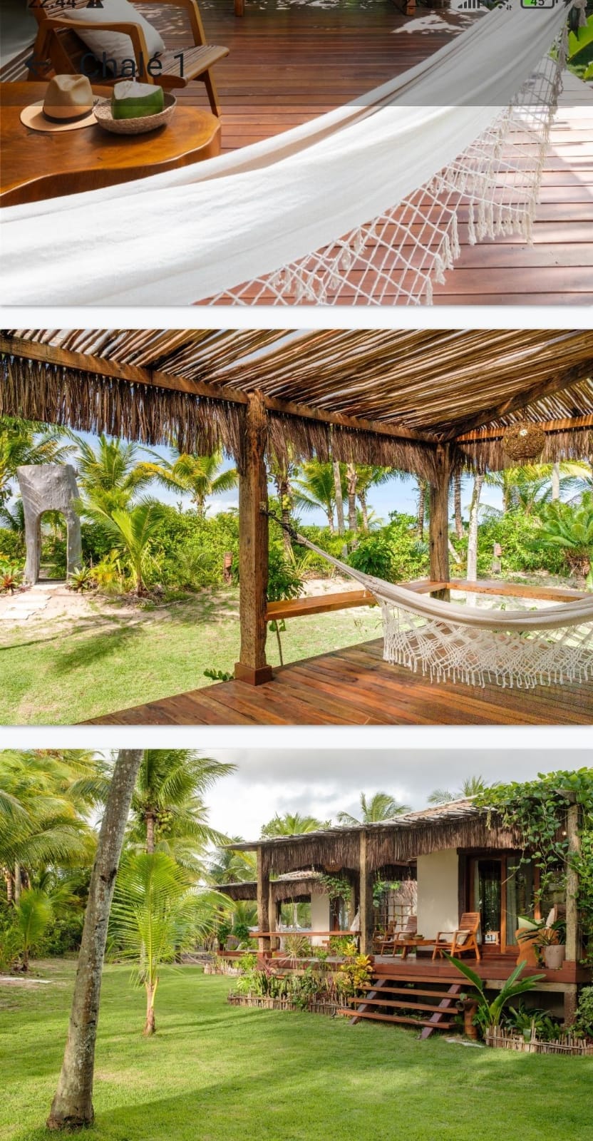 Imagem do WhatsApp de 2025-09-12 à(s) 23.03.58_f39d19ff